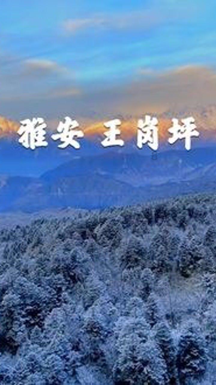周报｜智能网联汽车全球动态（2024年1月第4周）