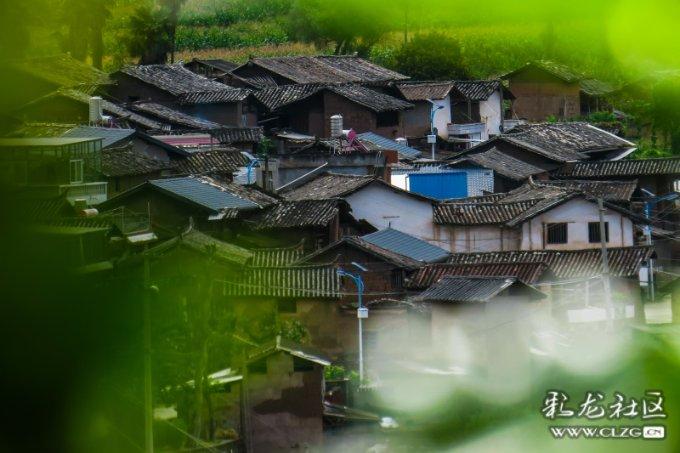 逃离整洁房屋