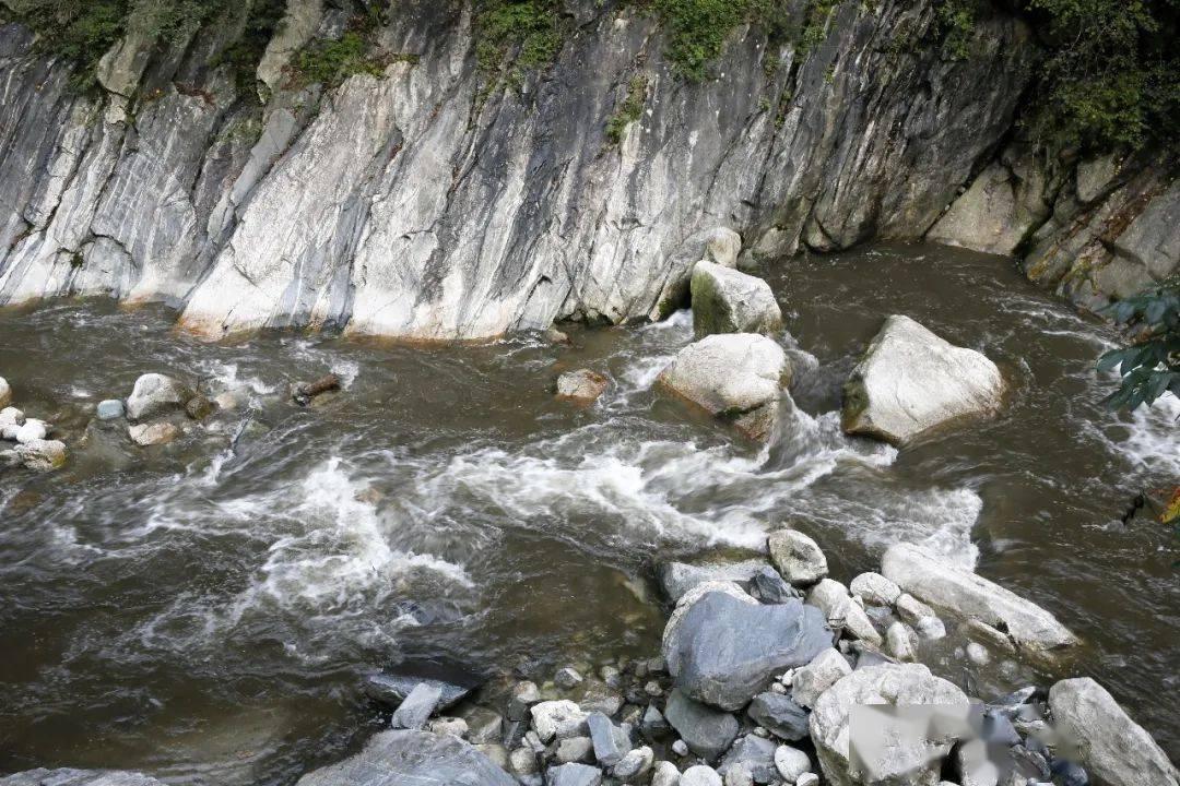 陶敬代表:提升南北山生态功能 为西宁打造生态文明高地打好基础
