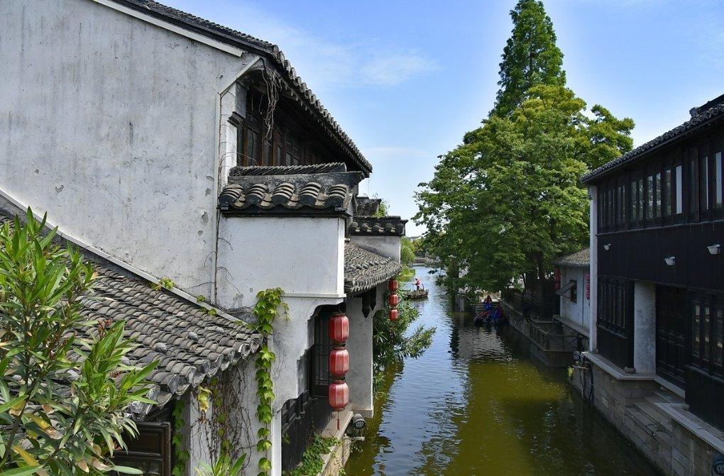 逆向思维：当你产生逆反心理的时候，就是摸到了赚钱的门槛