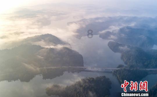 探探猫宝石岛3